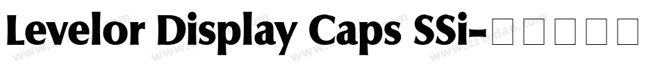 Levelor Display Caps SSi字体转换